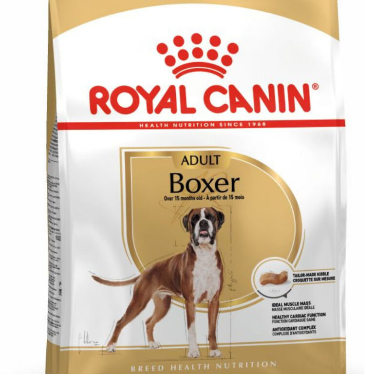 Royal canin british. Роял Канин Бритиш Шортхэйр. Royal Canin Британская короткошерстная. Роял Канин для кошек бенгал. Корм Роял Канин для бенгальских кошек.