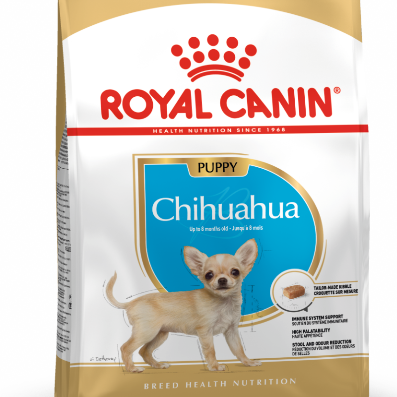 R chihuahua sales