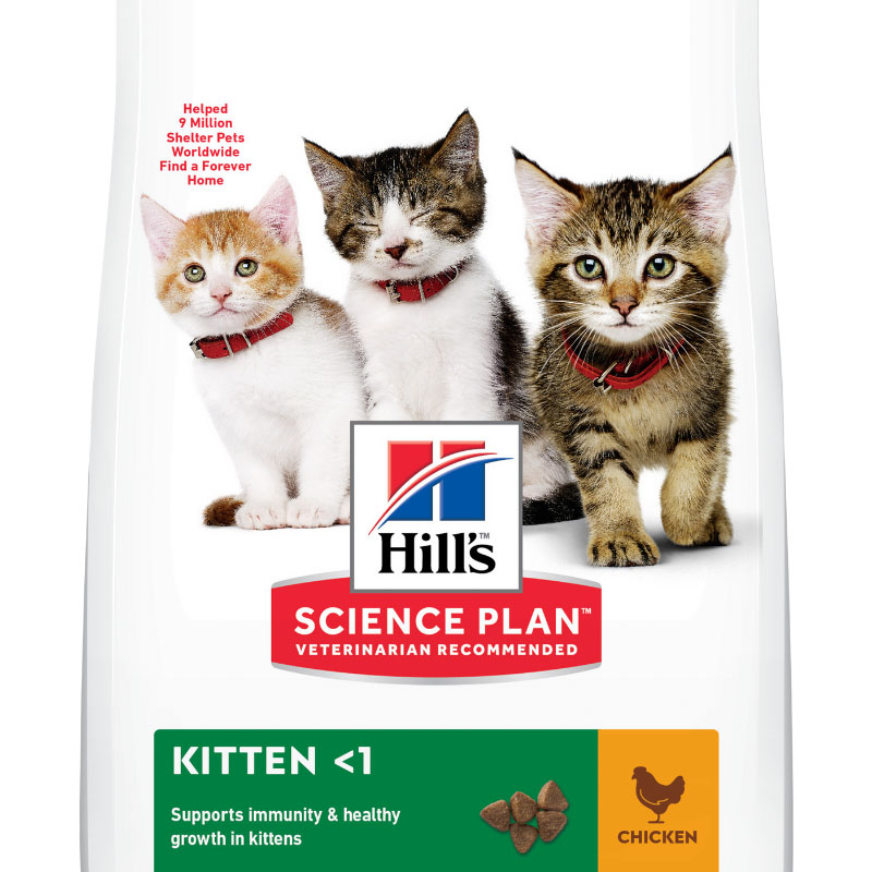 Healthy diet 2024 for kittens