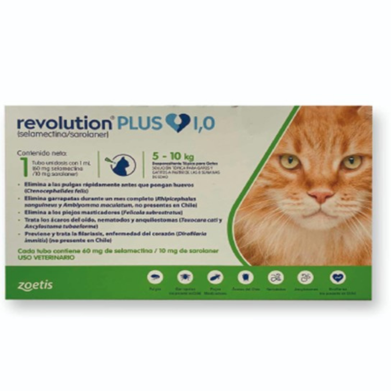 Revolution Plus 1x – Green [5 – 10kg]