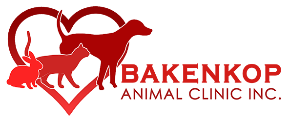Bakenkop Animal Clinic Inc - Online Shop