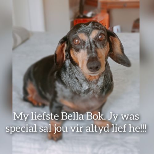 Bella Jacobs