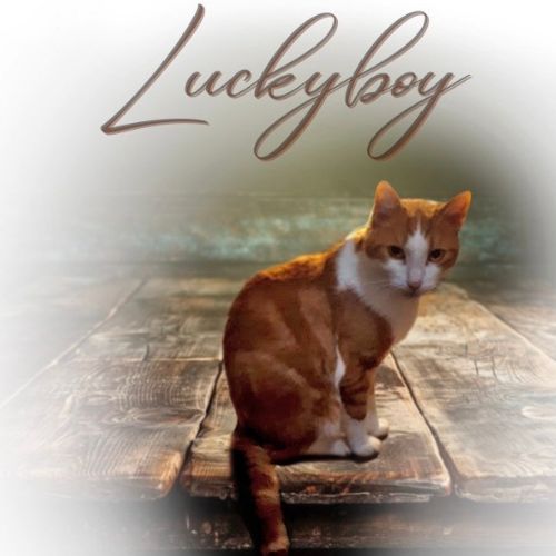 Luckyboy Noble