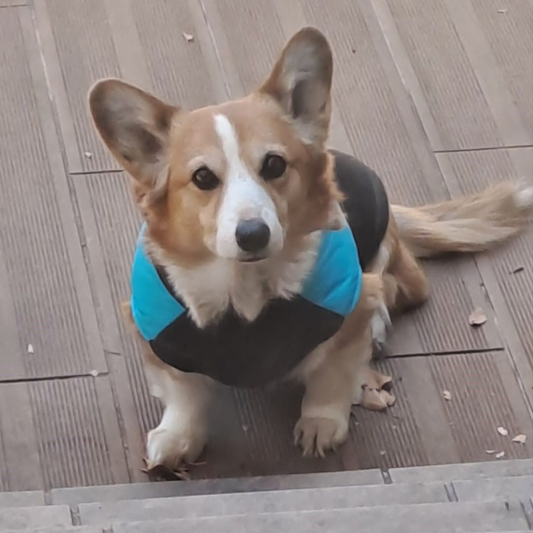 Nala Vorster