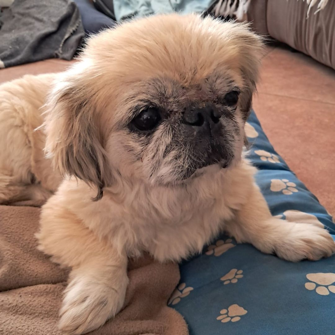 Missy Nel Missy Nel