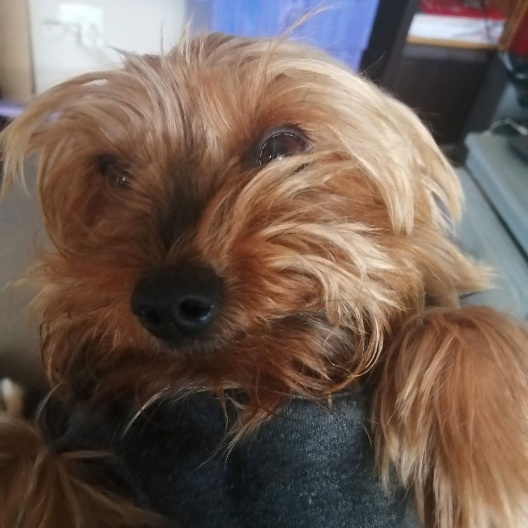 Rusty du Randt