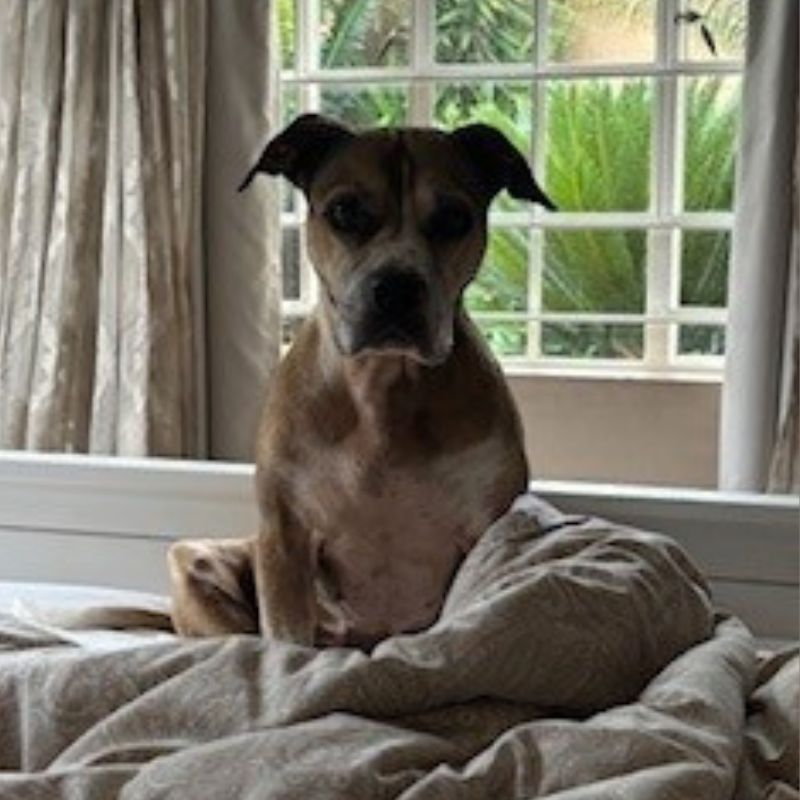 Bella Biddulph Bella Biddulph