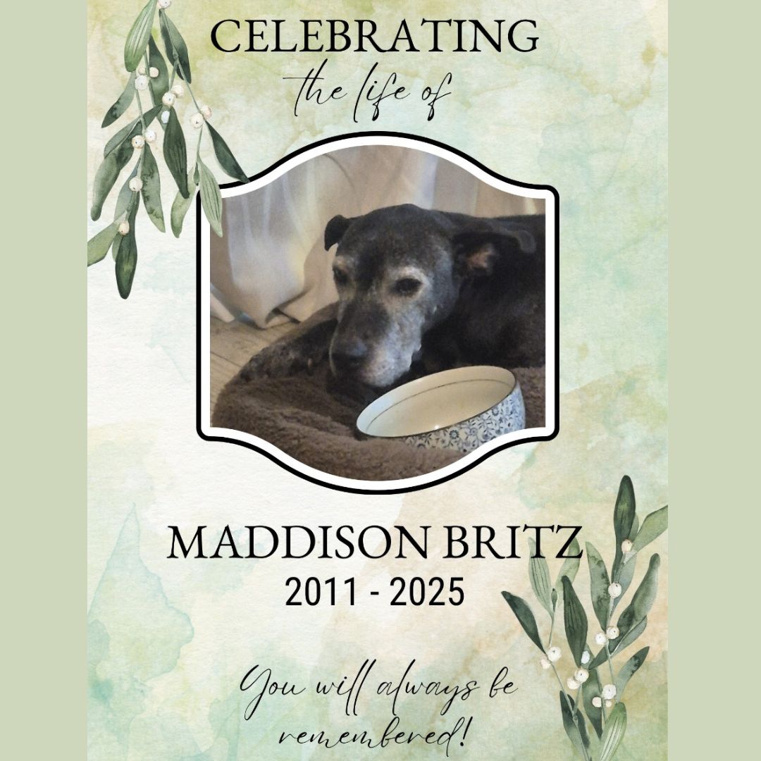 Maddy Britz