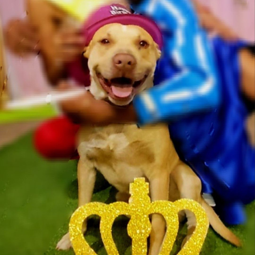 Odie Rajdew Odie Rajdew